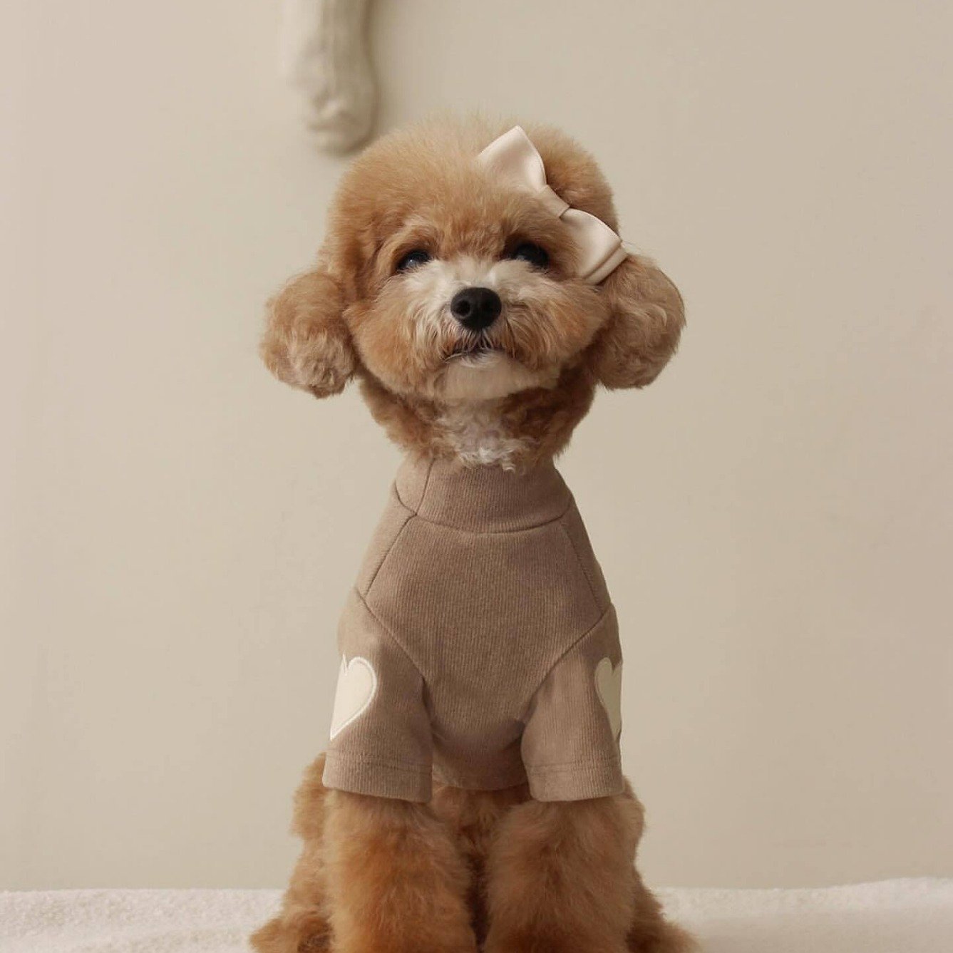 Cocoa Heart Pet Sweater